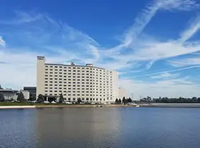Top Hotels