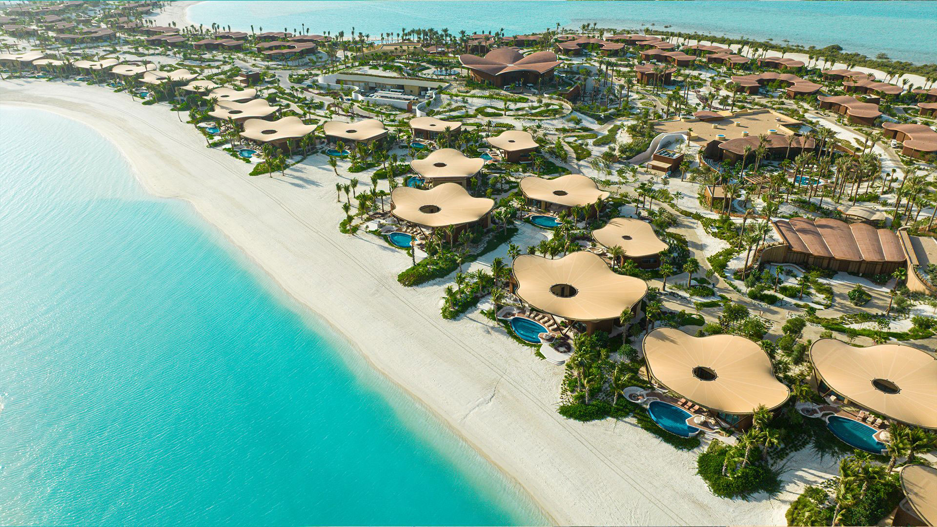 Discover Saudi Arabia