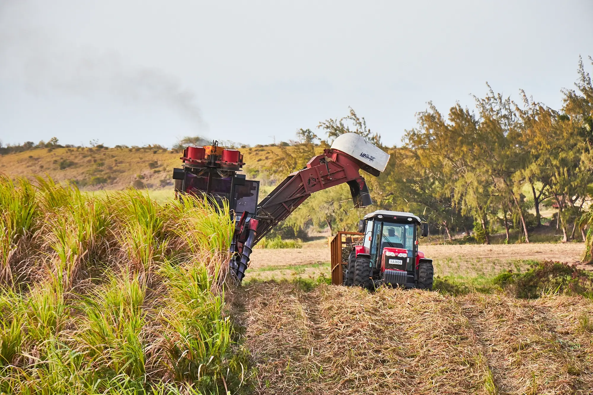 Peg Farm & Nature Reserve