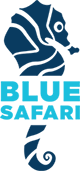 Blue Safari