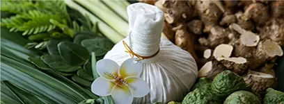 Thai Herbal Compress 