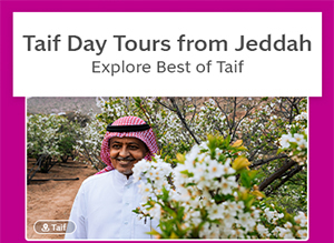 Taif Day Tours from Jeddah Explore Best of Taif