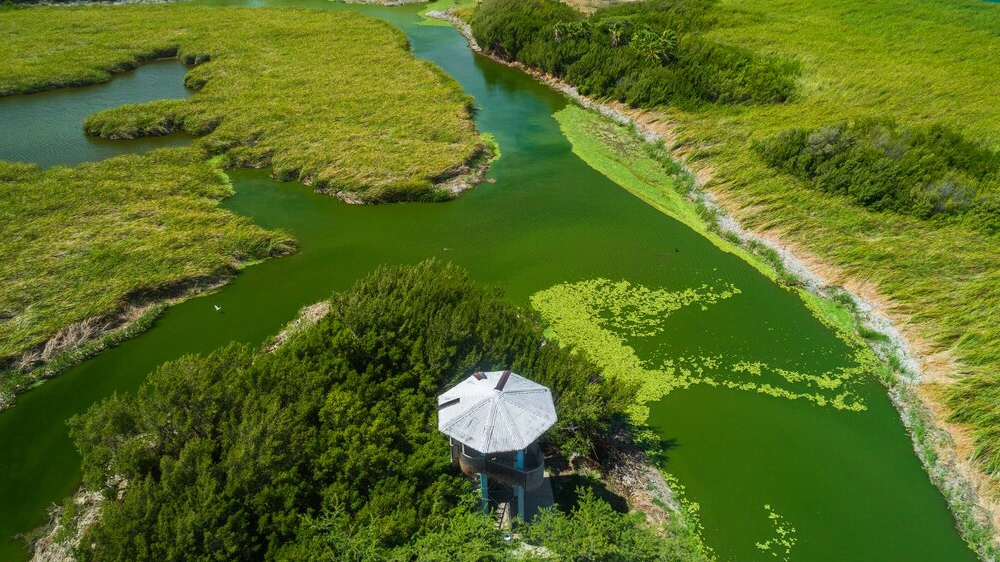 Bubali Bird Sanctuary