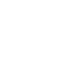 Boat Icon