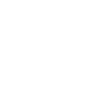 plane Icon