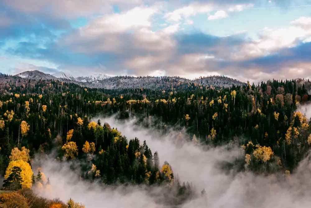 Georgia autumn
