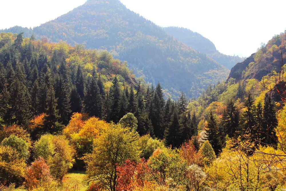 Georgia autumn