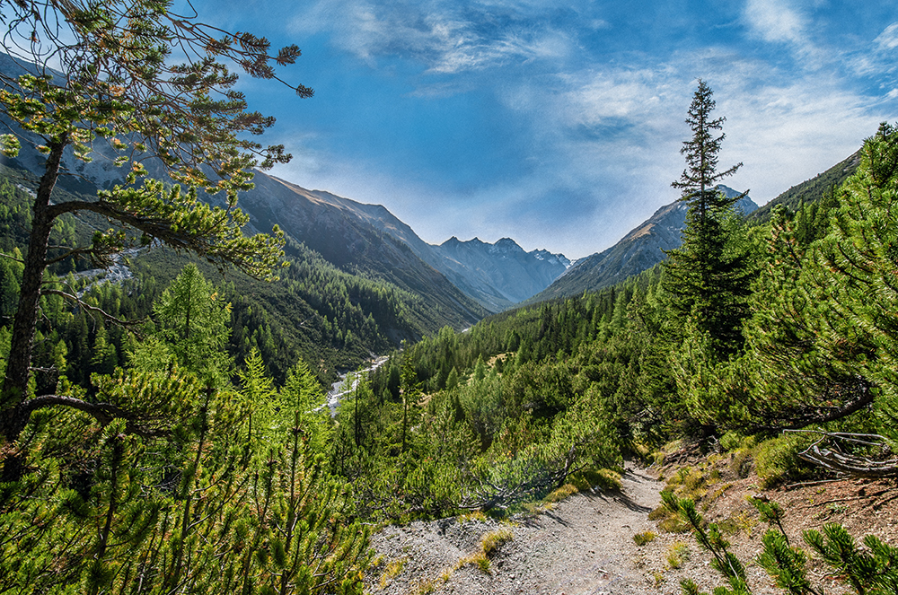 Swiss National Park