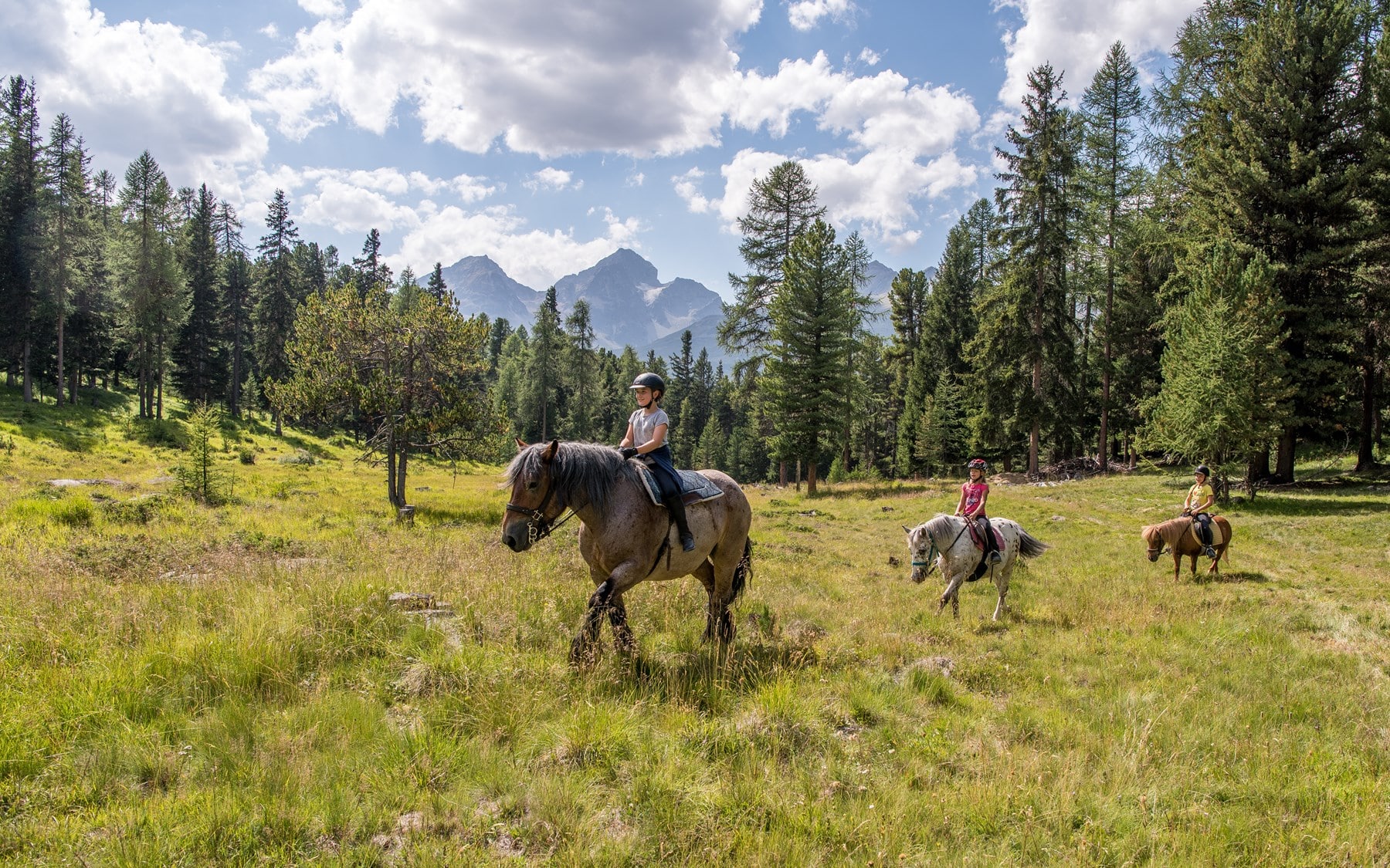 Horseback riding