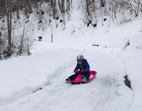 Sledging