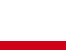 Search icon