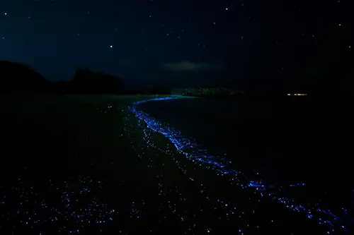 Experiences Pic