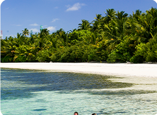 Diving Courses