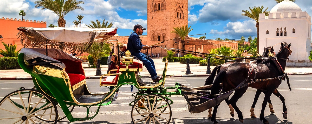 Marrakech Food Tour