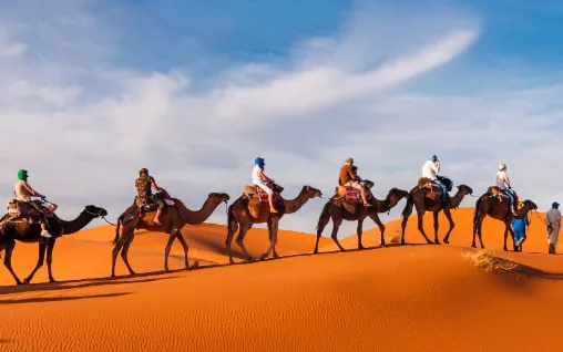 10 Top-Rated Things to do in Morocco in 2024: Experience you shouldn’t miss