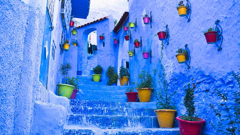 Top Attraction Image
