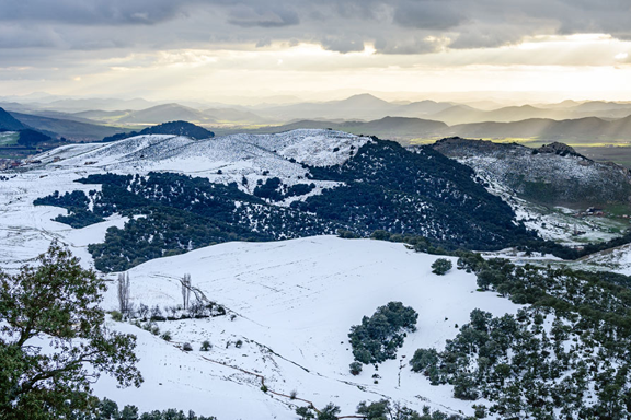 Top Attraction Image