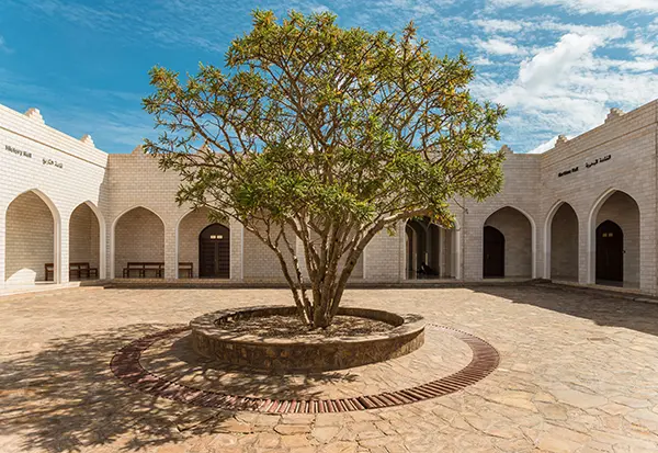 Land of Frankincense