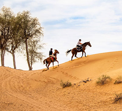 Equestrian Centre-Desert Riding