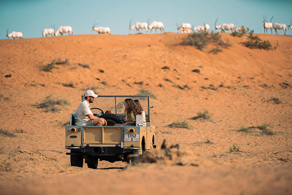 Al Wadi Nature Reserve