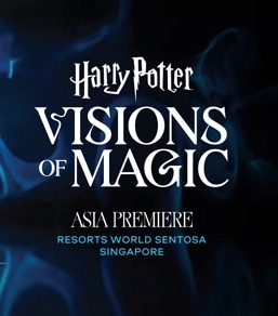 Harry Potter Visions of Magic