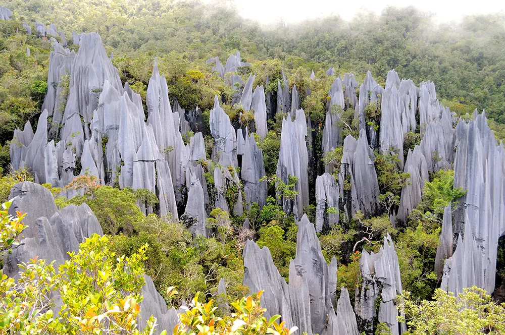 Pinnacles