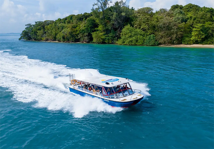 Albatross Speedboat Adventures