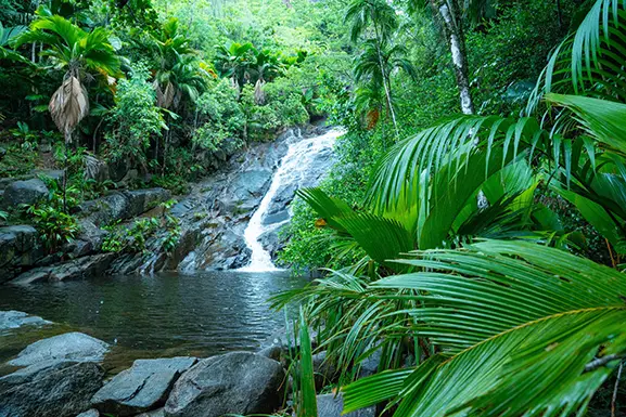 Waterfall