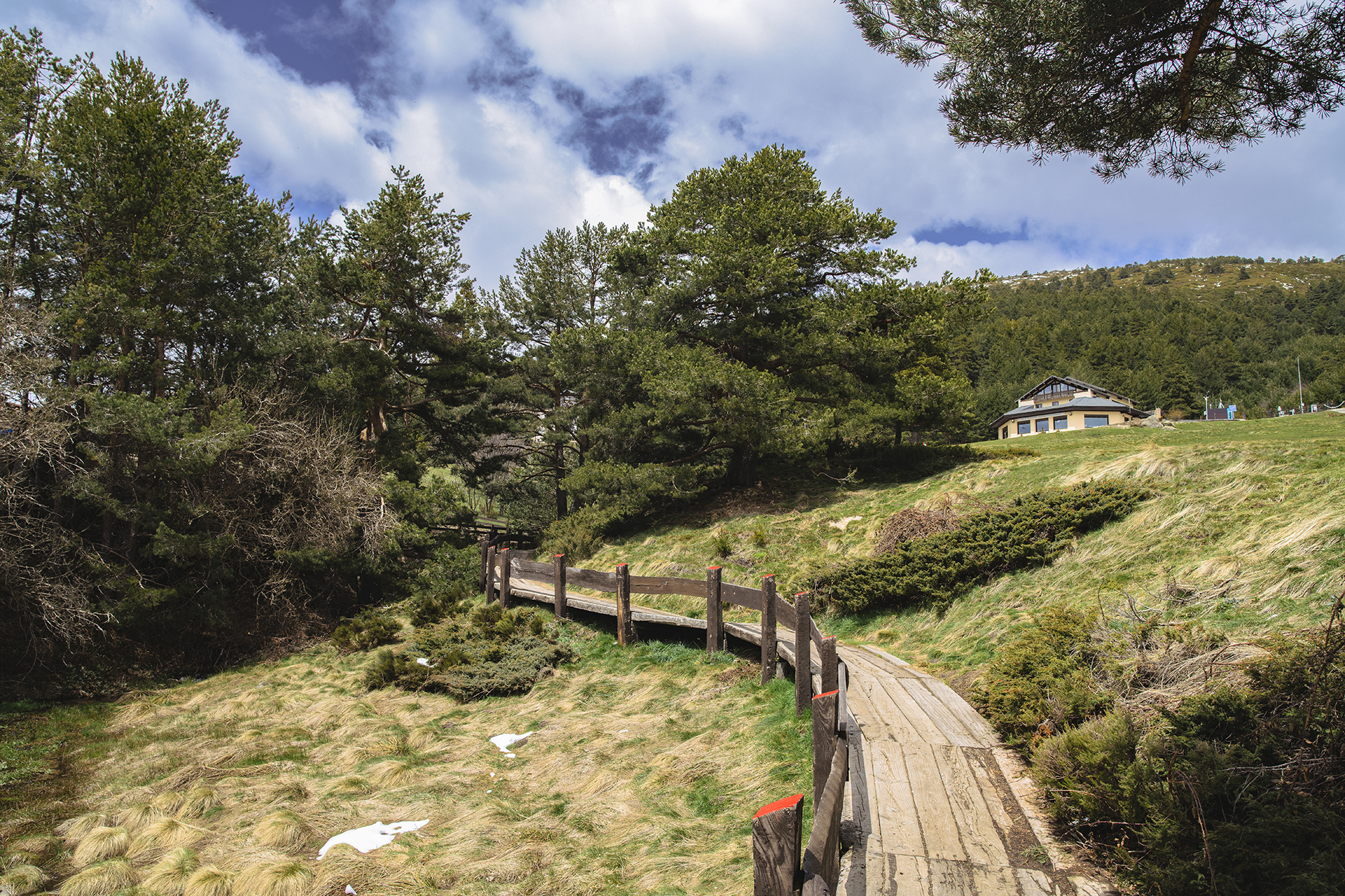 Sustainable Experiences