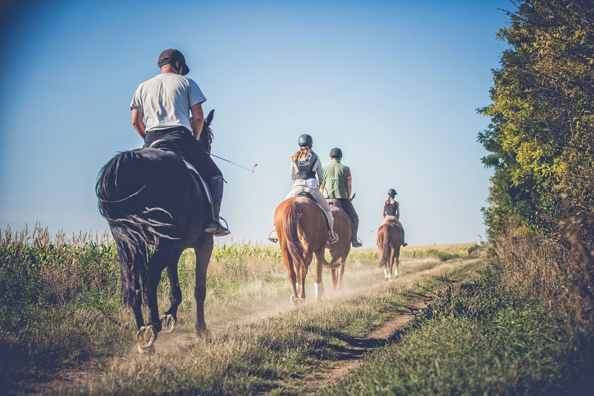 Sustainable Experiences