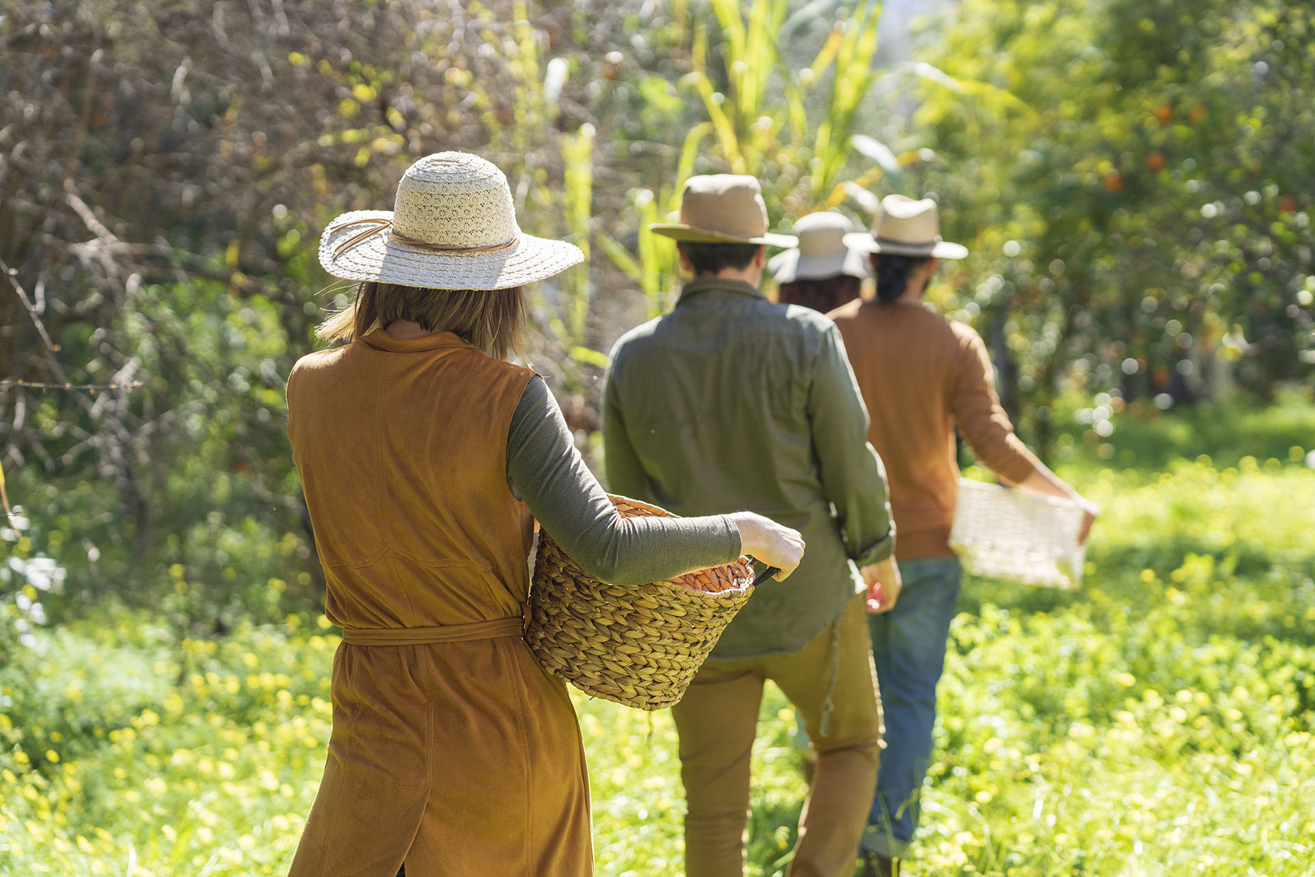 Sustainable Experiences