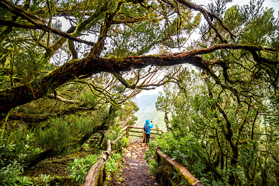 Sustainable Destinations