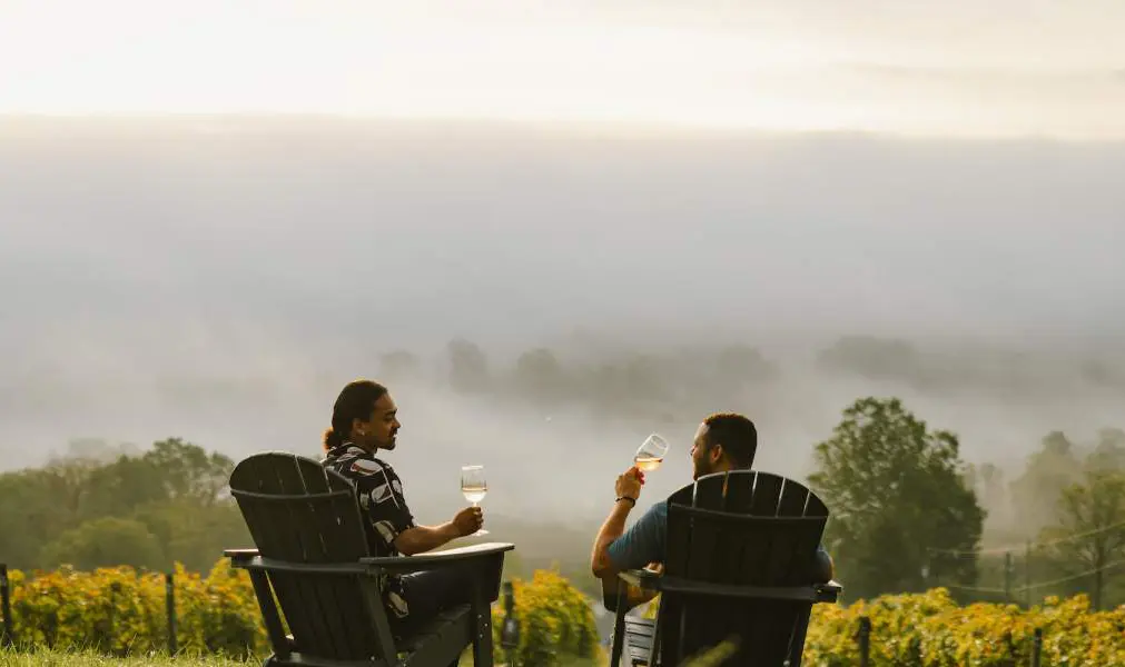 Loudoun County wine country vineyard