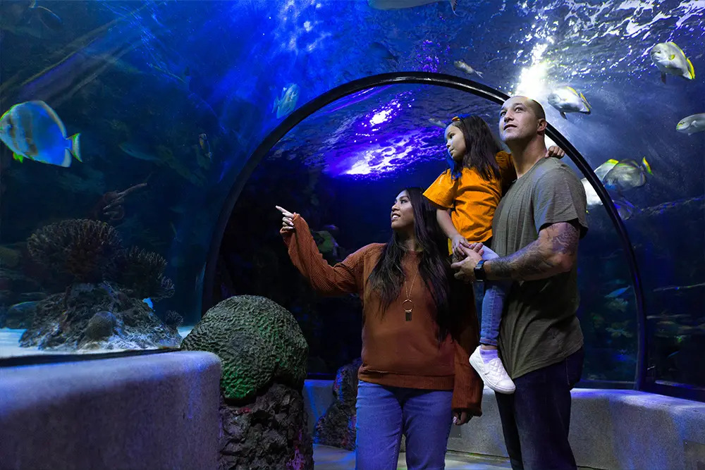 Virginia Aquarium