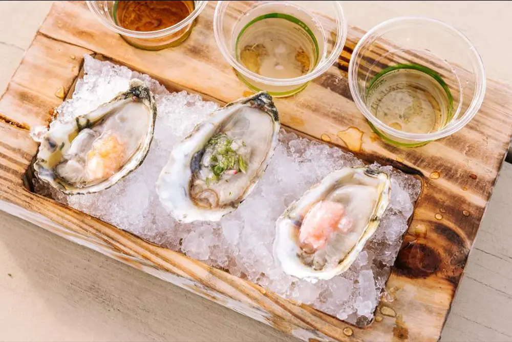 Oysters