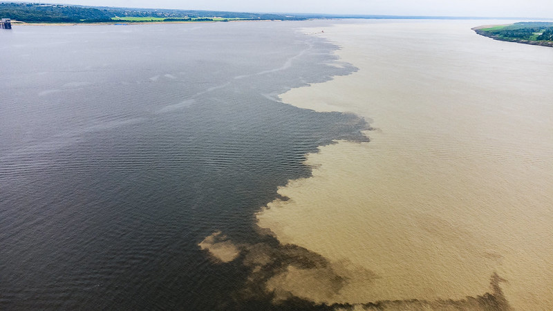 Encontro das Águas — Meeting of the Waters, Amazon